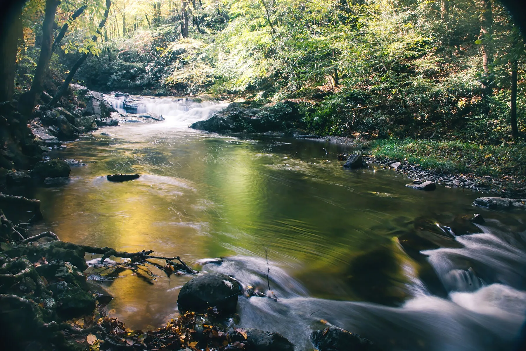 Emerald Serenade - Great Smoky Mountains National Park