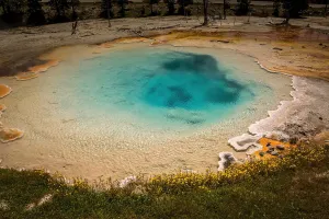Jewel - Yellowstone National Park